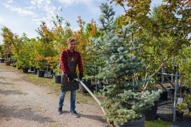 Best Fruit Tree Pruning  in Austell, GA